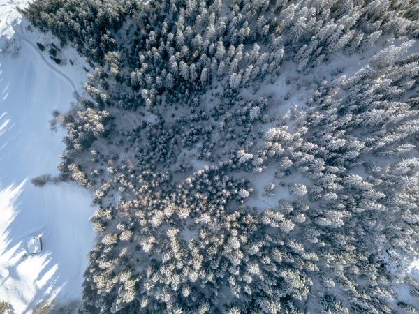 Notre engagement éco-responsable