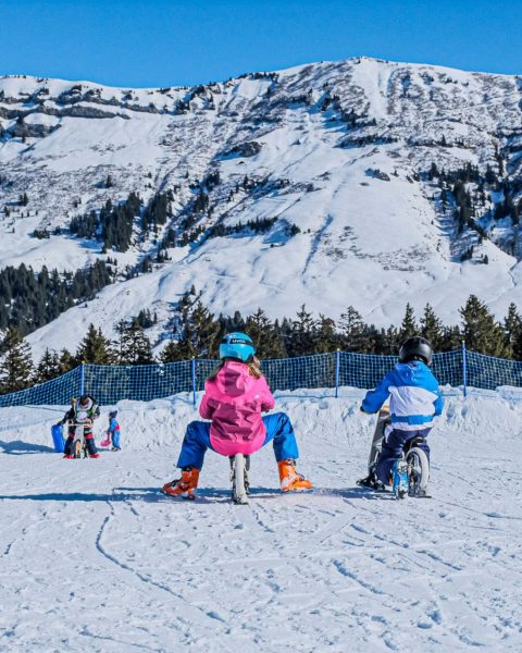Descente en luge