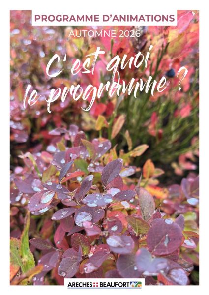 Visuel brochure