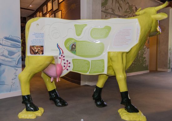 Visite de la Coopérative laitière du Beaufortain