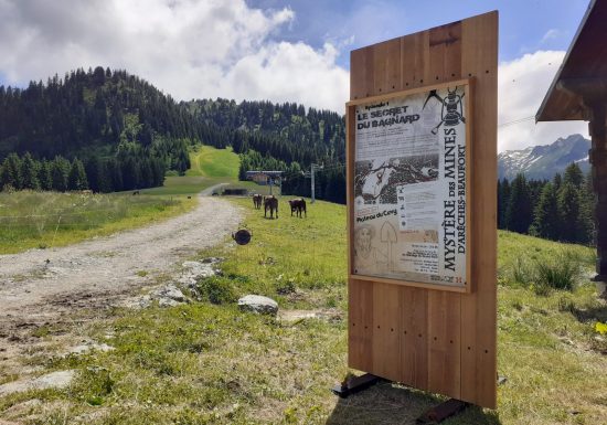 Le Secret du Bagnard