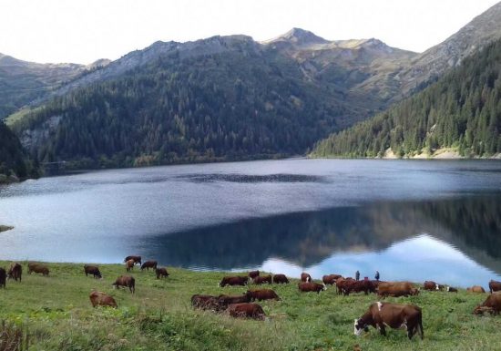 Soirée repas à la ferme – Gaec du Cuvy
