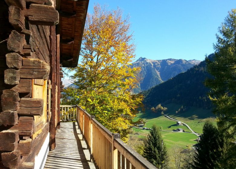 Chalet 12 personnes – JS01