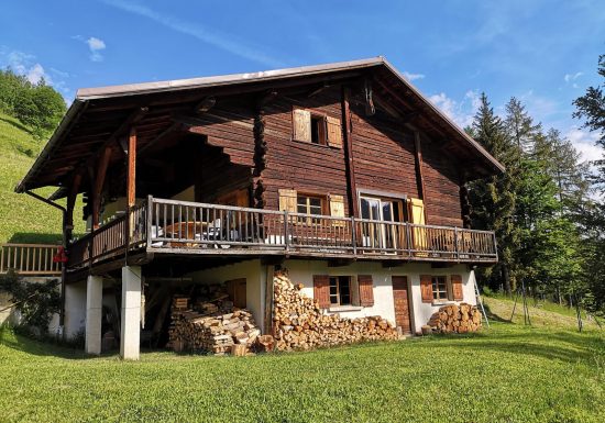 Chalet 12 personnes – JS01