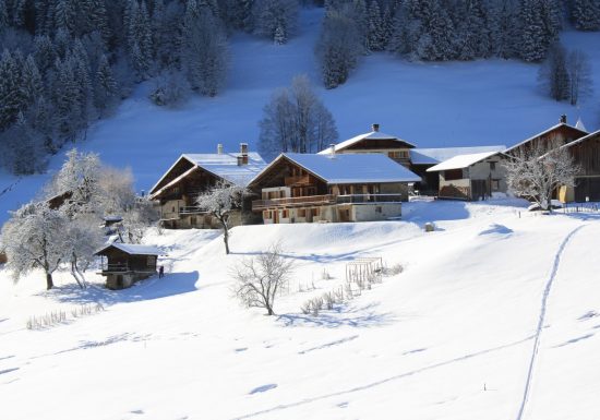 Chambres d’hôtes Chalet du Bersend