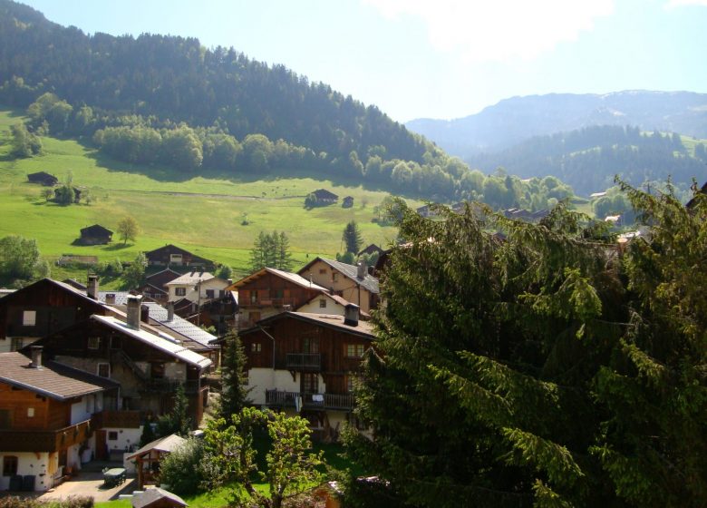 Appartement 3 pièces 6 personnes – GMC03