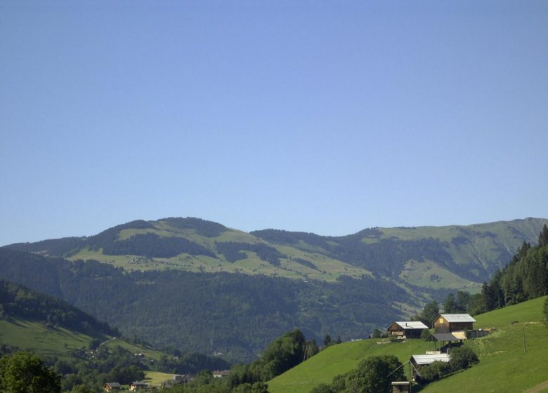 Appartement 3 pièces 6 personnes – GMC03