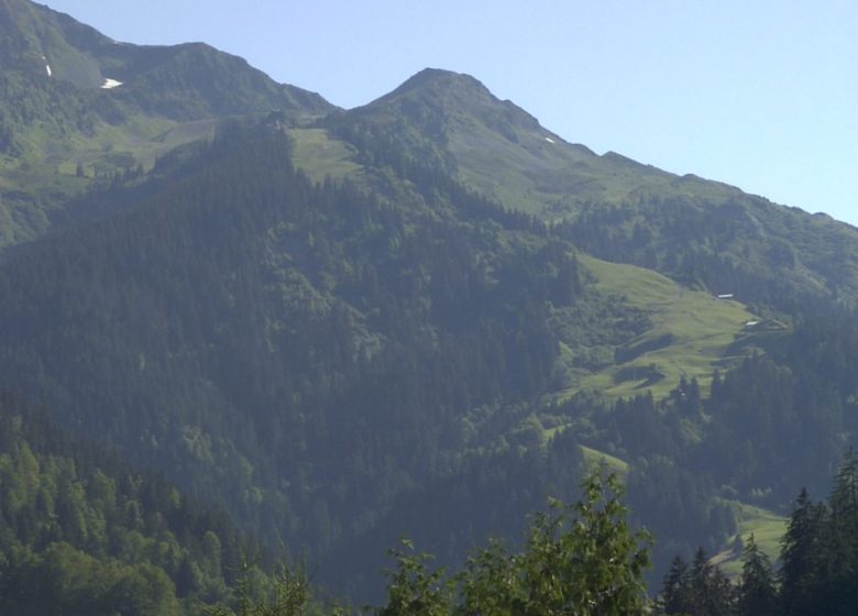 Appartement 3 pièces 6 personnes – GMC04