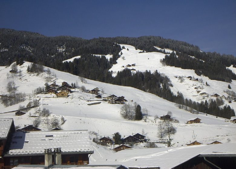 Appartement 3 pièces 6 personnes – GMC05