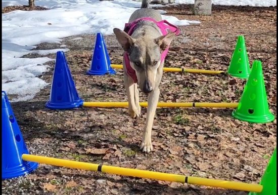 3 Pattes pour 1 main