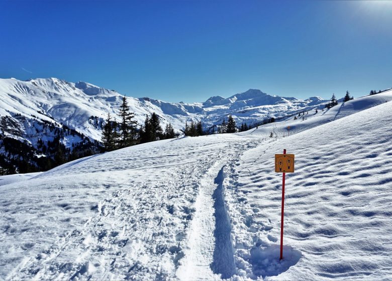 La Méfia tè des capstôts (en patois : méfie-toi des p&rsquo;tits sapins)