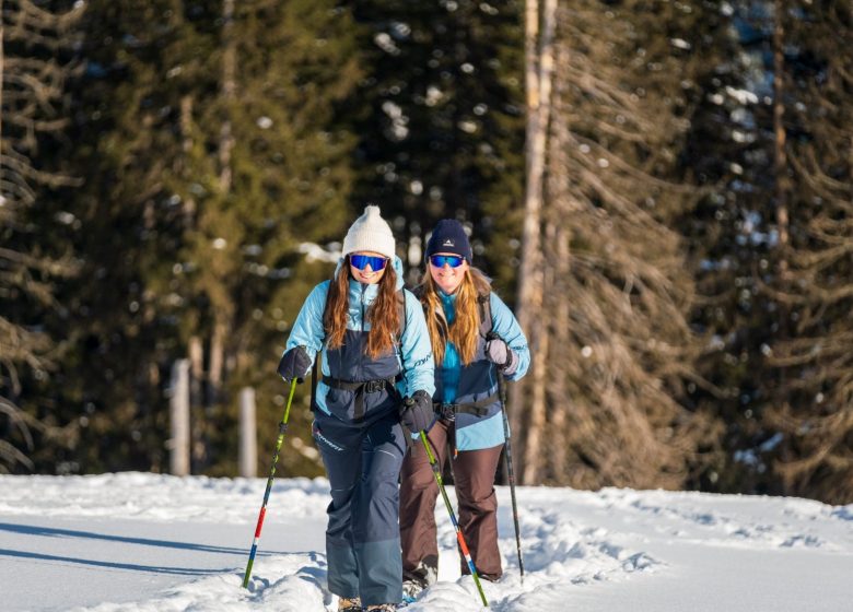La Méfia tè des capstôts (en patois : méfie-toi des p&rsquo;tits sapins)