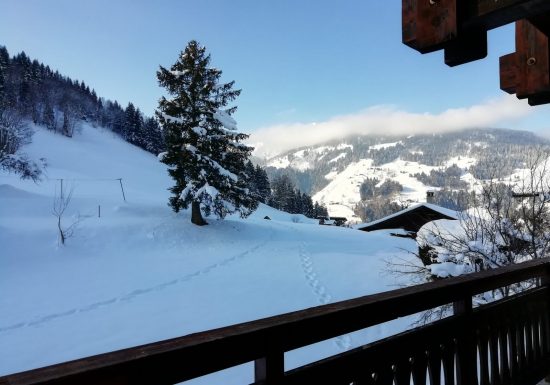 Chalet 12 personnes – MAB02