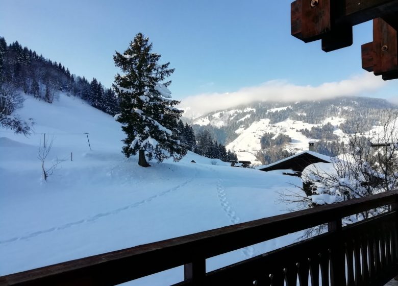 Chalet 12 personnes – MAB02