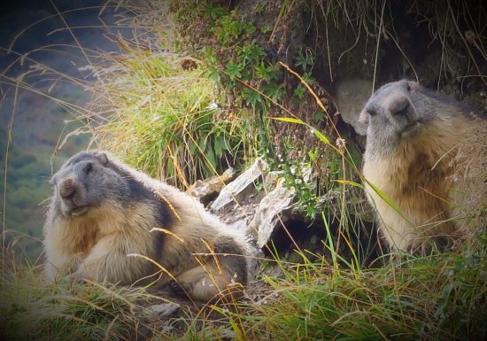 Refuge de l’Econdu