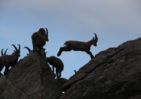 Beaufortain Randonnée