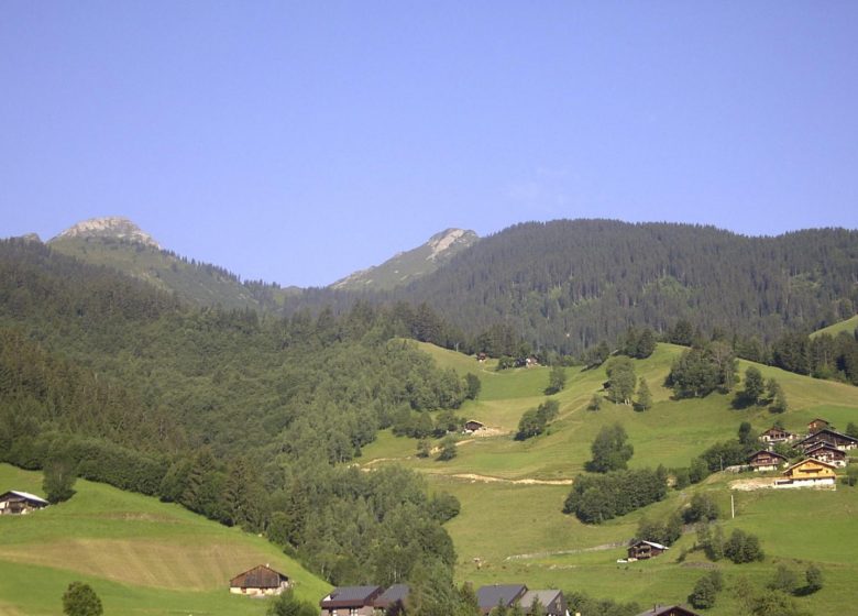 Appartement 3 pièces 6 personnes – GMC04