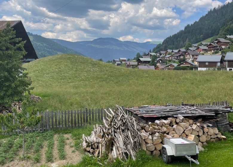 Appartement 2 pièces 4 personnes – VJ01