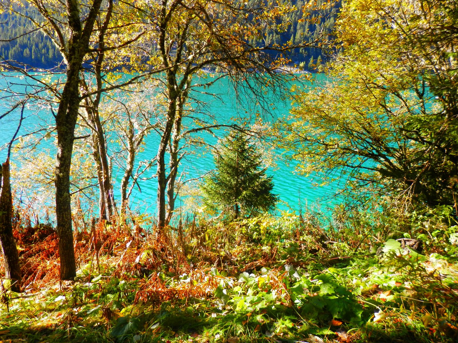 Pêche à Saint Guérin