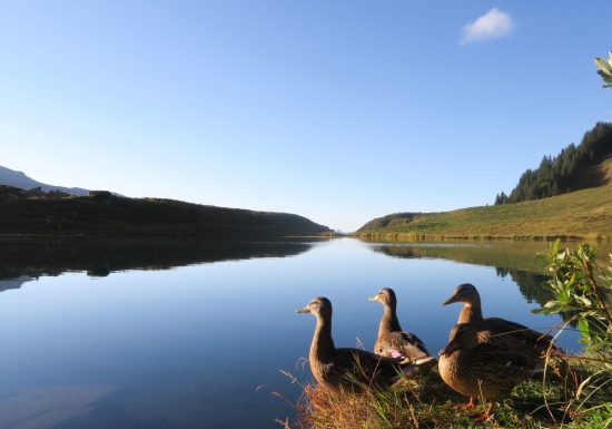 Refuge de l’Econdu