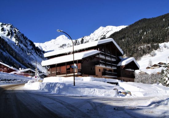 Studio les petites marmottes