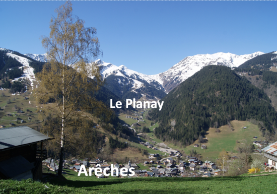 Studio les petites marmottes