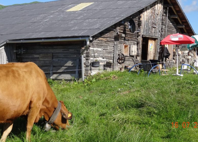 Chalet d&rsquo;alpage du Cuvy
