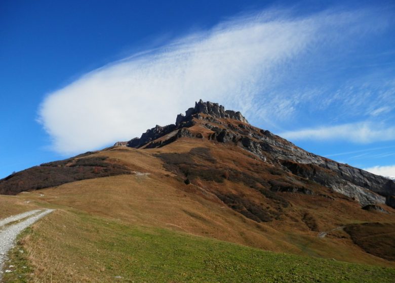 Randonnée et chemin de conscience