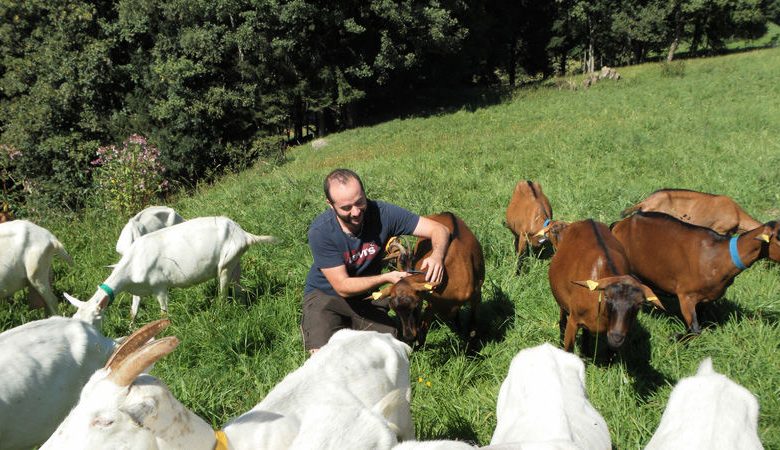 Une Montagne de Saveurs.