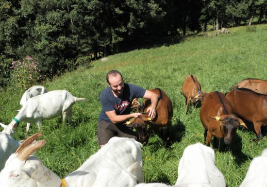 Visite de ferme : Montagne de Saveurs