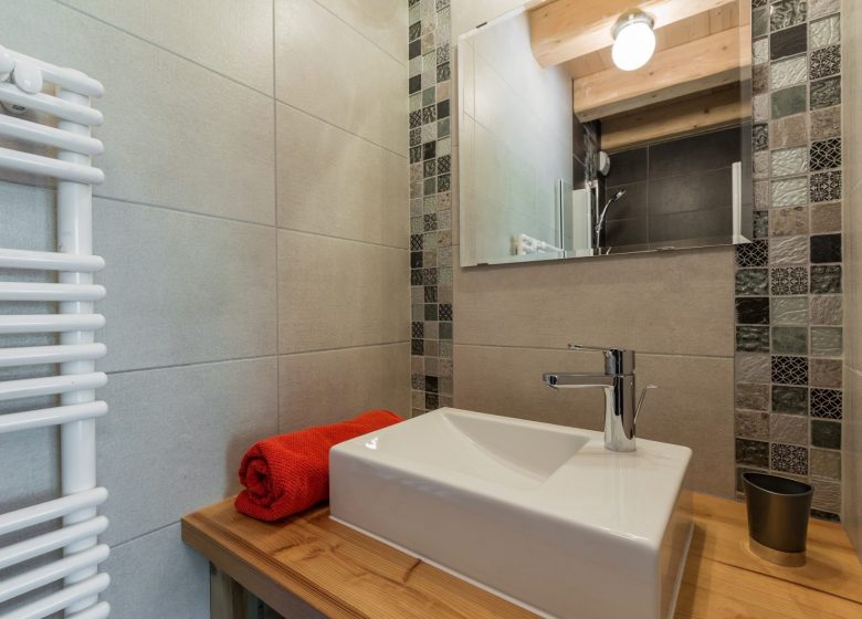 Chalet 12 personnes – BDG02