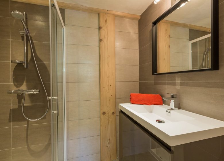 Appartement 4 pièces 10 personnes – Pierra-Menta