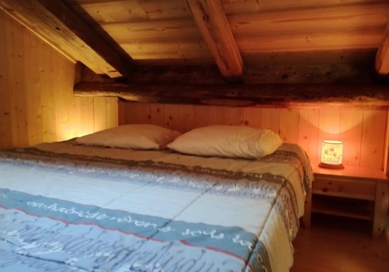 Appartement 4 pièces 6 personnes – Les Embrunes du Praz