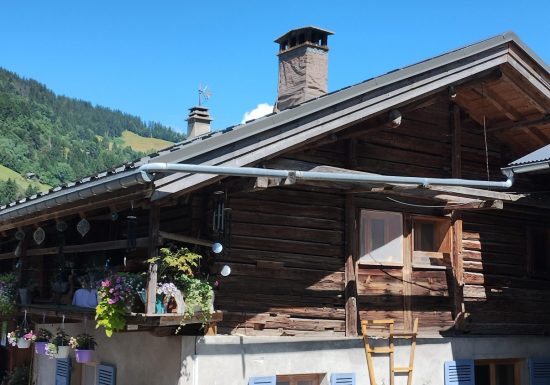 Appartement 4 pièces 6 personnes – Les Embrunes du Praz