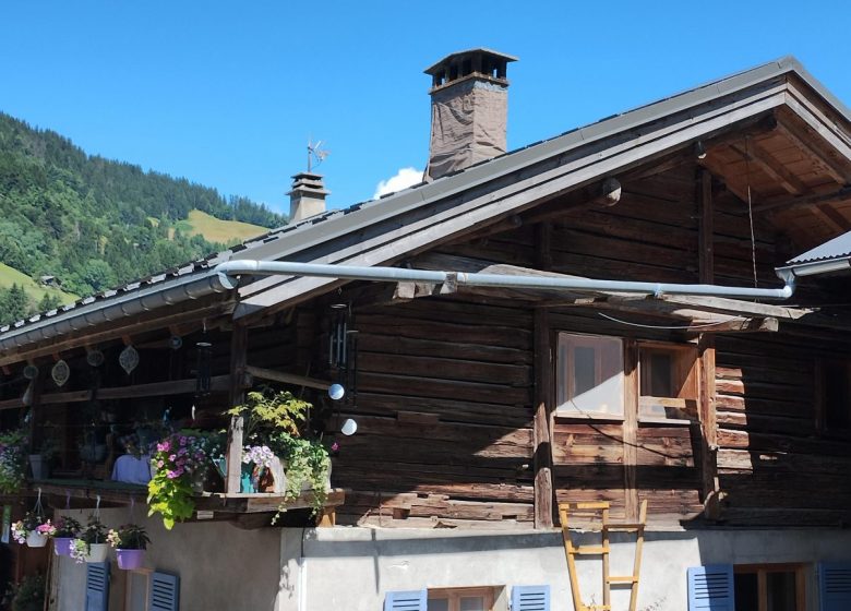 Appartement 4 pièces 6 personnes – Les Embrunes du Praz