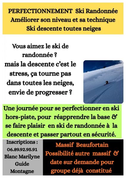 Perfectionnement descente ski de randonnée (toute neige)