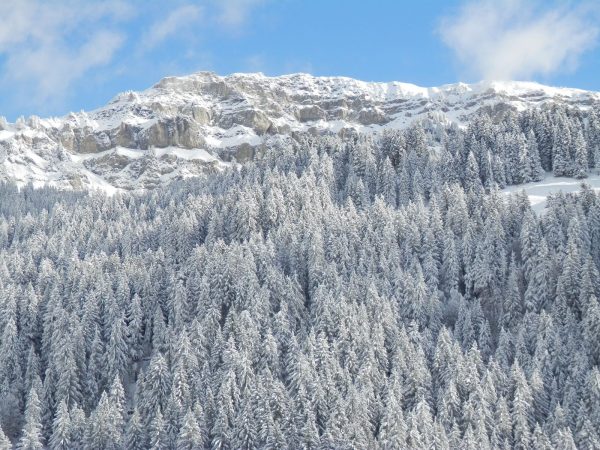 Rencontres Culturelles  – Rencontre dédicace avec Cédric Sapin Defour