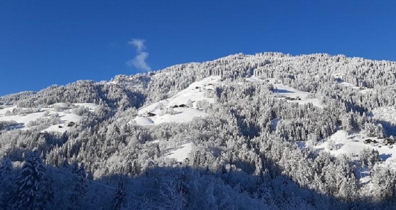 Appartement 3 pièces 6 personnes – CS01