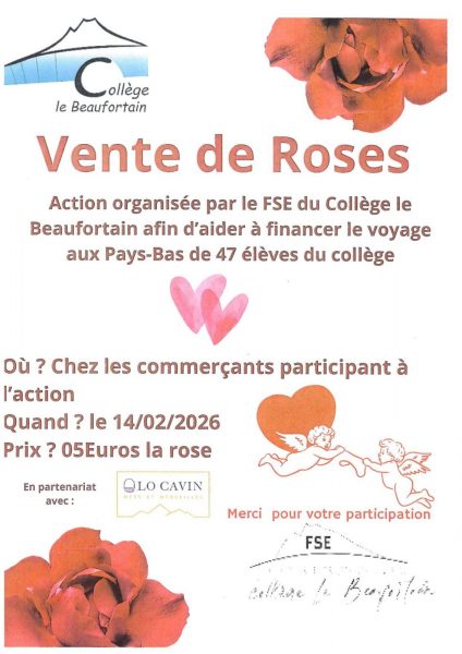 Vente de Roses pour la Saint Valentin