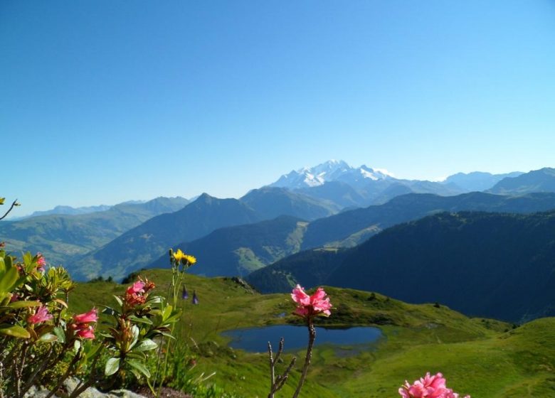 La Boucle du Lac Brassa.