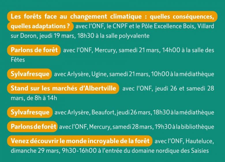 Journée internationale de la forêt