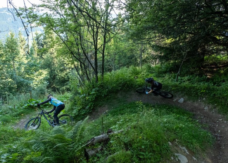Descente VTT de la Bleue Arêchoise.