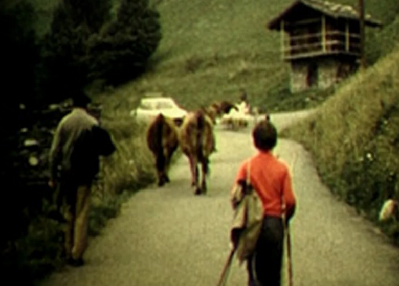 Les tarines font leur cinéma