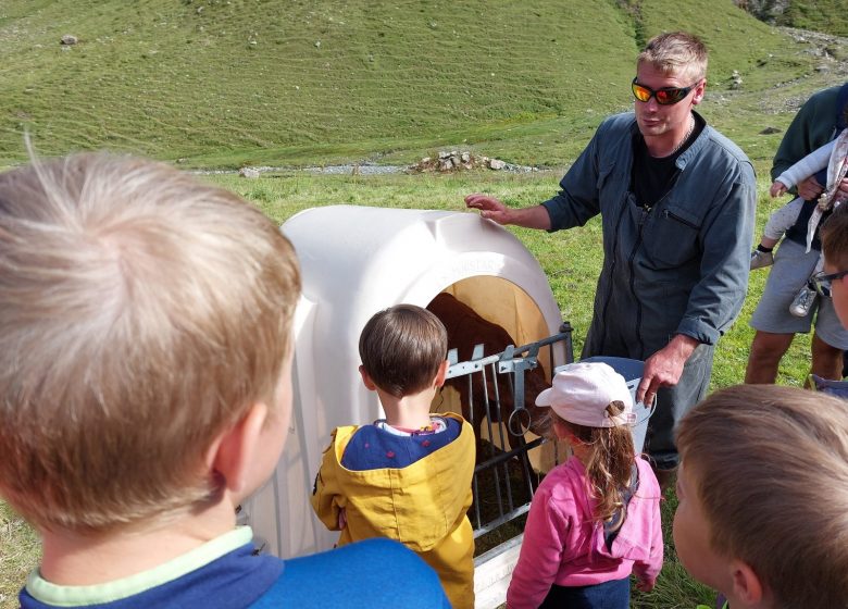 Les tarines font leur cinéma