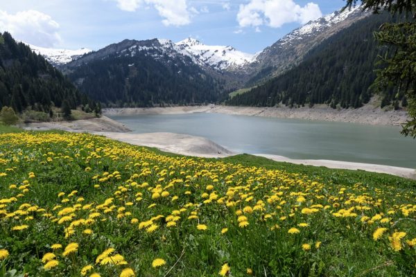 Parcours trail n°6 – Lac de Saint-Guérin