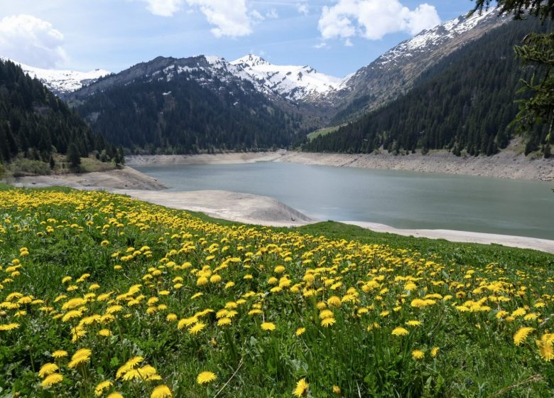 Parcours trail n°6 – Lac de Saint-Guérin