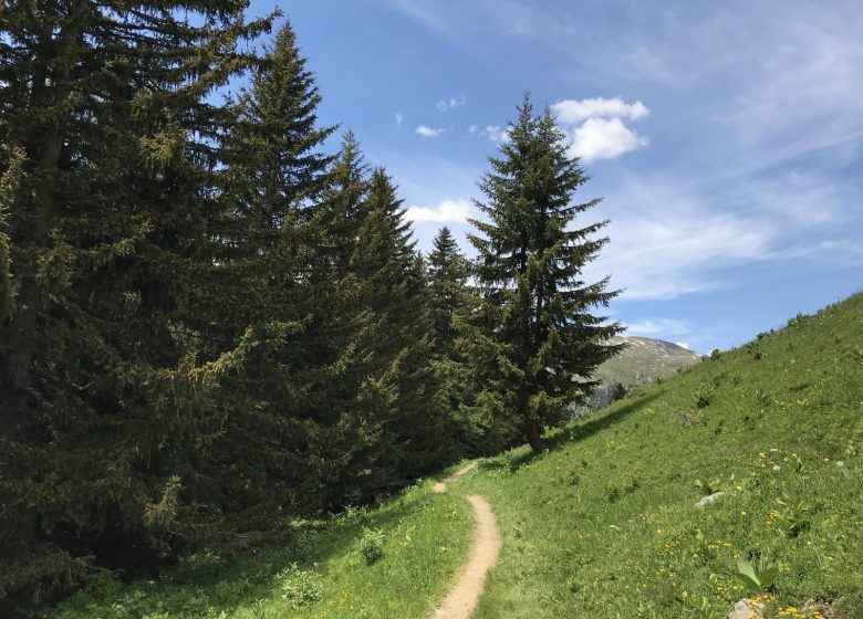 Parcours trail n°6 – Lac de Saint-Guérin