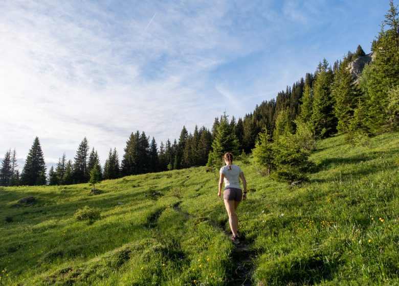 Parcours trail n° 8 – Tête de Cuvy