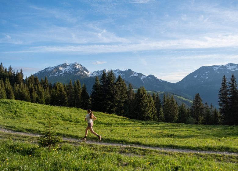 Parcours trail n° 8 – Tête de Cuvy
