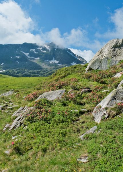 Parcours trail n° 5 – Lac Tournant